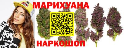 сатива Кинель