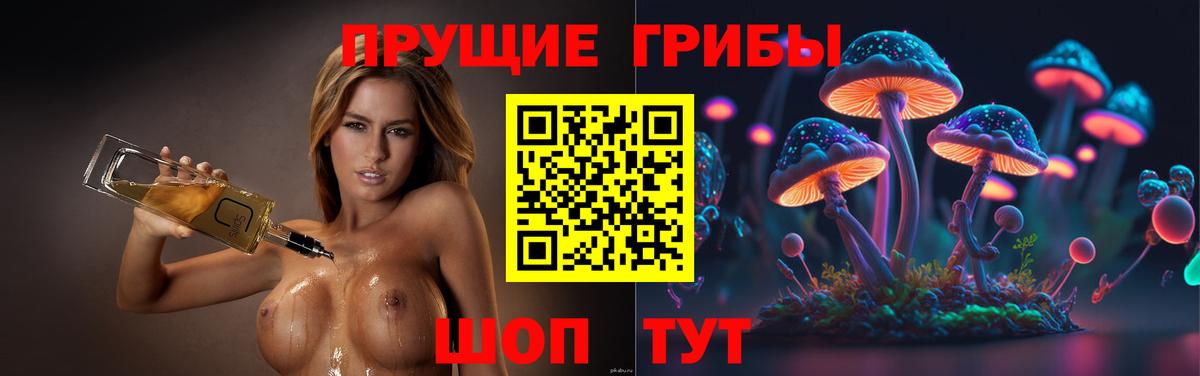Псилоцибиновые грибы мицелий  закладка  Вход с VPN  Коркино  Псилоцибиновые грибы Magic Shrooms 